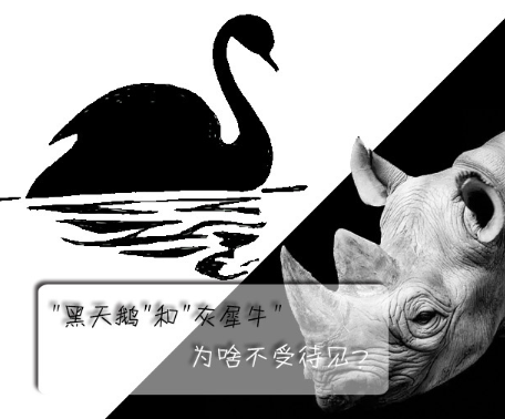 "黑天鵝"和"灰犀牛"為啥不受待見(jiàn)？