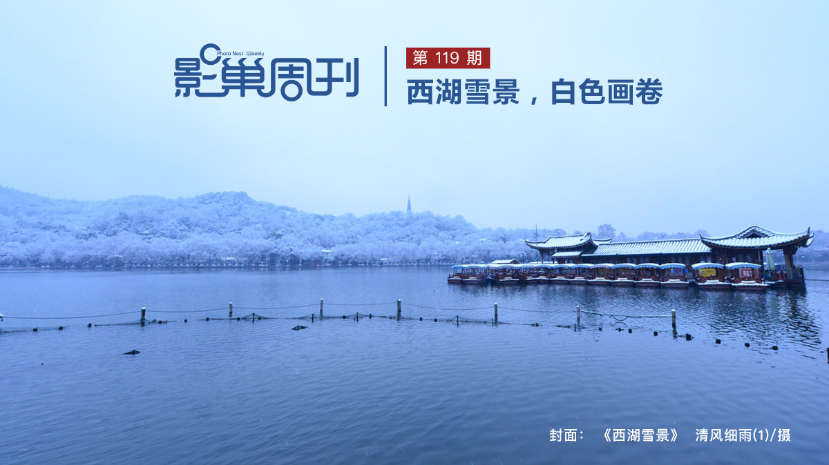 【影巢周刊】西湖雪景，白色畫卷