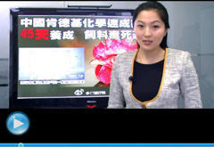 權威聲音：“快時代”究竟還有什么可以速成？