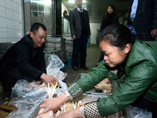 江西宰殺、冷凍積壓禽肉 緩解H7N9禽流感影響