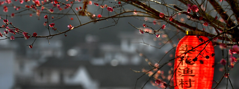 春來(lái)花開，綻放正當(dāng)時(shí)