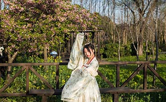 徜徉櫻花花海，來(lái)場(chǎng)動(dòng)漫之旅