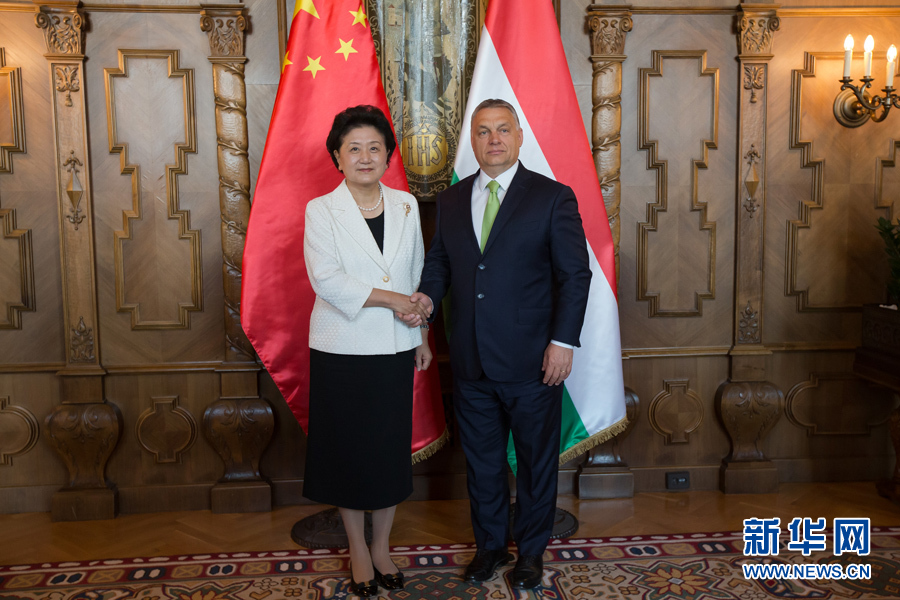  6月21日，國務(wù)院副總理劉延東（左）在匈牙利布達佩斯國會大廈會見匈牙利總理歐爾班。 新華社發(fā)（弗爾季·奧蒂洛攝）