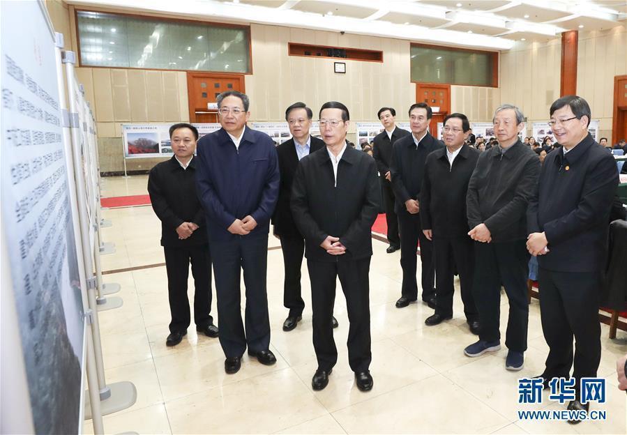 1月9日至10日，國務(wù)院副總理張高麗在安徽調(diào)研推動長江經(jīng)濟(jì)帶發(fā)展工作。這是1月10日，張高麗主持召開推動長江經(jīng)濟(jì)帶發(fā)展工作會議前聽取介紹。新華社記者 龐興雷 攝
