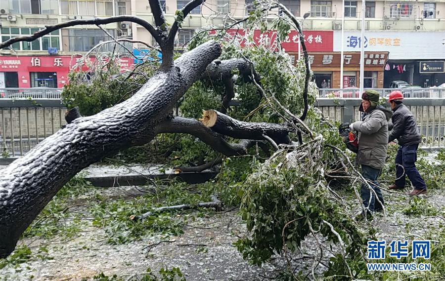 （新華全媒頭條）（7）雨雪冰凍中，他們奮力前行——基層黨員干群抗擊冰雪災(zāi)害紀(jì)實(shí)