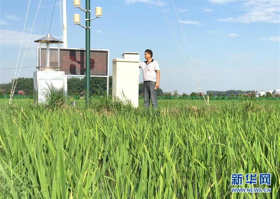 （新華全媒頭條·紀(jì)念改革開(kāi)放40年特稿·圖文互動(dòng)）（6）向著新航程揚(yáng)帆奮進(jìn)！——從小崗精神看中國(guó)改革開(kāi)放40年