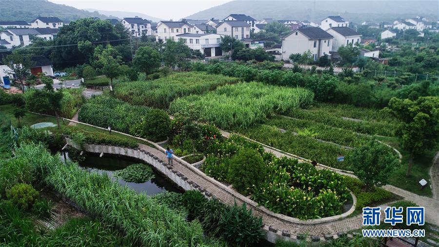 （在習(xí)近平新時(shí)代中國特色社會(huì)主義思想指引下——新時(shí)代新作為新篇章·圖文互動(dòng)）（1）稀奇！治污濕地成了休閑公園——江蘇蘇州全域推進(jìn)農(nóng)村生活污水治理