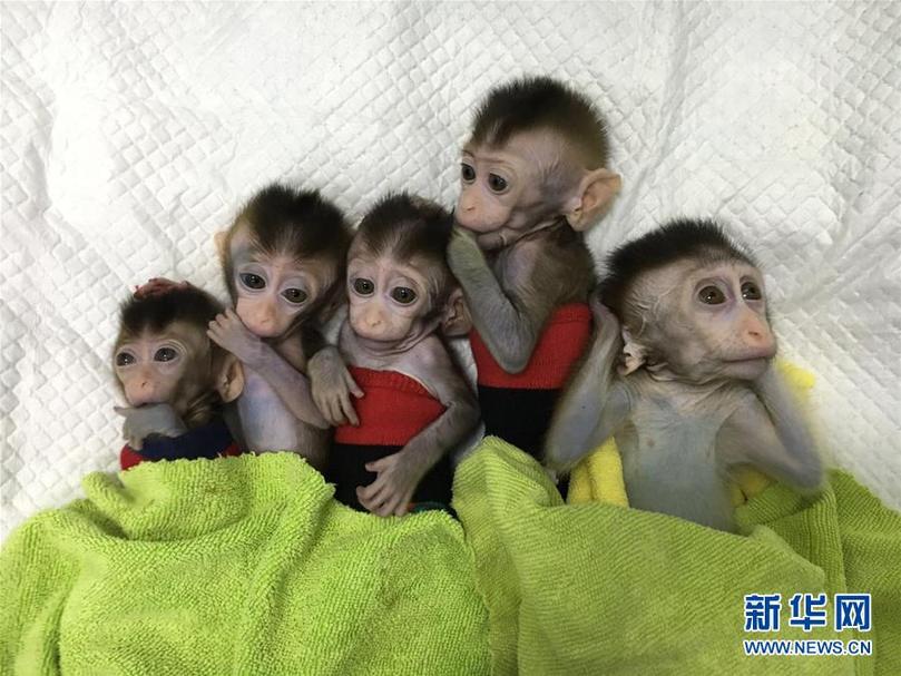 （新華全媒頭條·兩會(huì)前夕看落實(shí)·圖文互動(dòng)）（5）改革風(fēng)帆勁 創(chuàng)新逐浪高——上海落實(shí)習(xí)近平總書(shū)記全國(guó)兩會(huì)重要講話(huà)精神紀(jì)實(shí)
