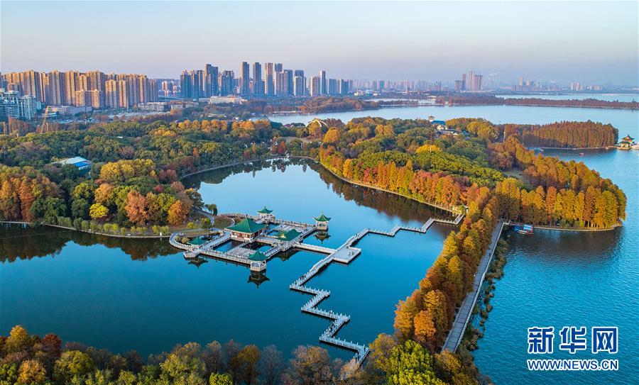 （兩會·圖文互動）（6）“這樣的綠道太贊了！”——代表委員熱議東湖綠道建設(shè)