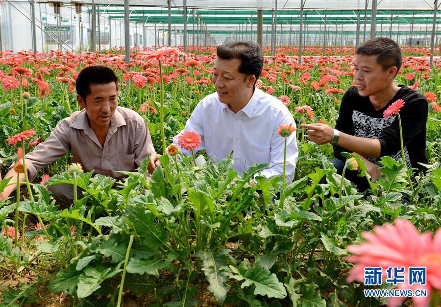 （新華全媒頭條·愛國情 奮斗者·圖文互動）（8）致敬，為祖國獻(xiàn)身的英雄！