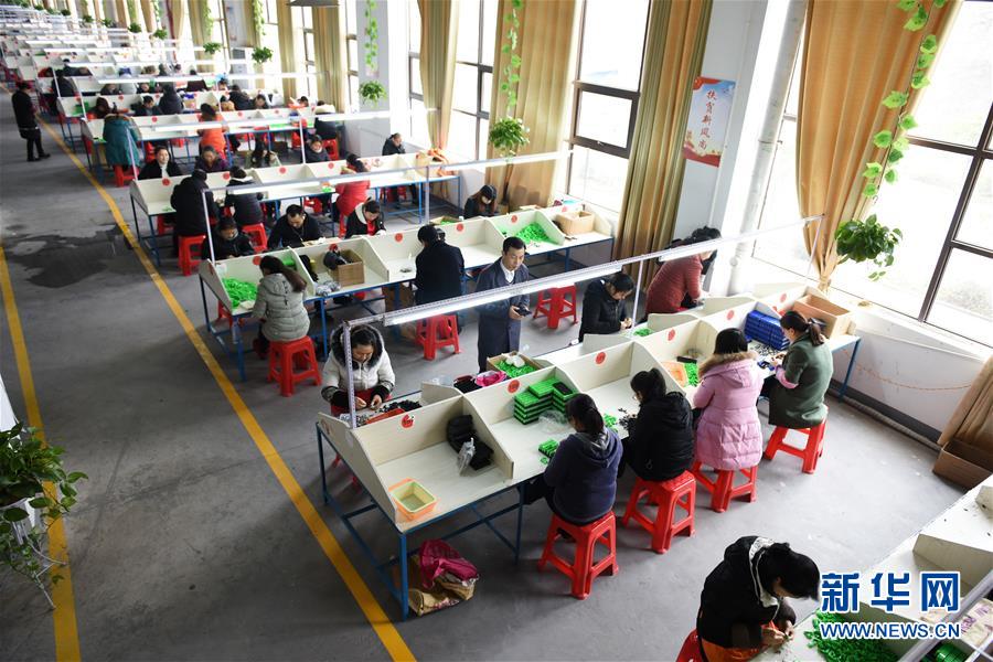 （在習近平新時代中國特色社會主義思想指引下——新時代新作為新篇章·圖文互動）（5）“搬遷到哪里，服務就延伸到哪里”——貴州推進易地扶貧搬遷“后半篇文章” 