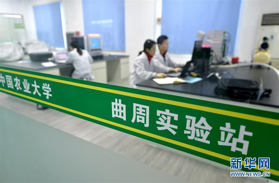 （愛國情 奮斗者·圖文互動）（3） “解民生之多艱，育天下之英才”——中國農(nóng)大師生扎根田野書寫奉獻(xiàn)之歌