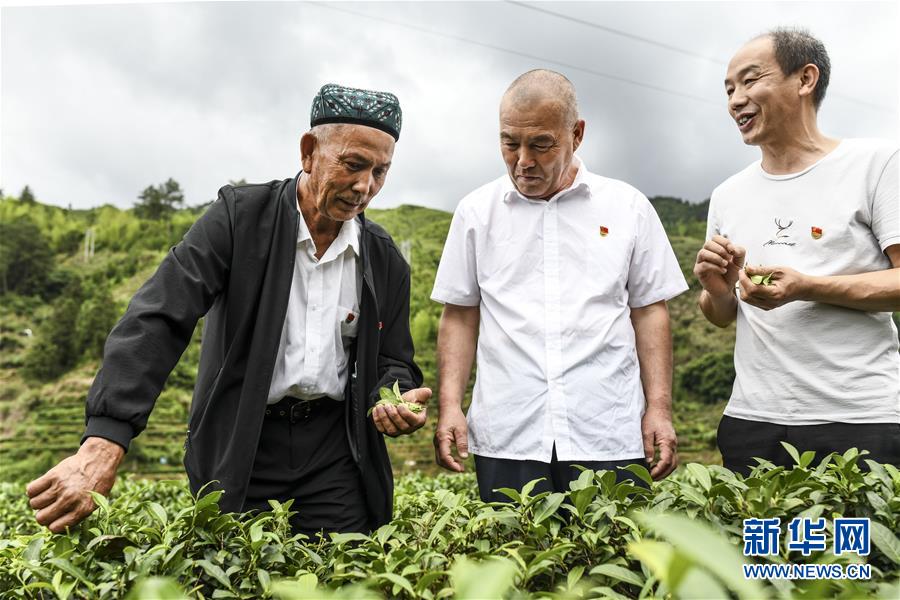 （新華全媒頭條·圖文互動）（7）同心援疆，“壯闊”祖國西北角