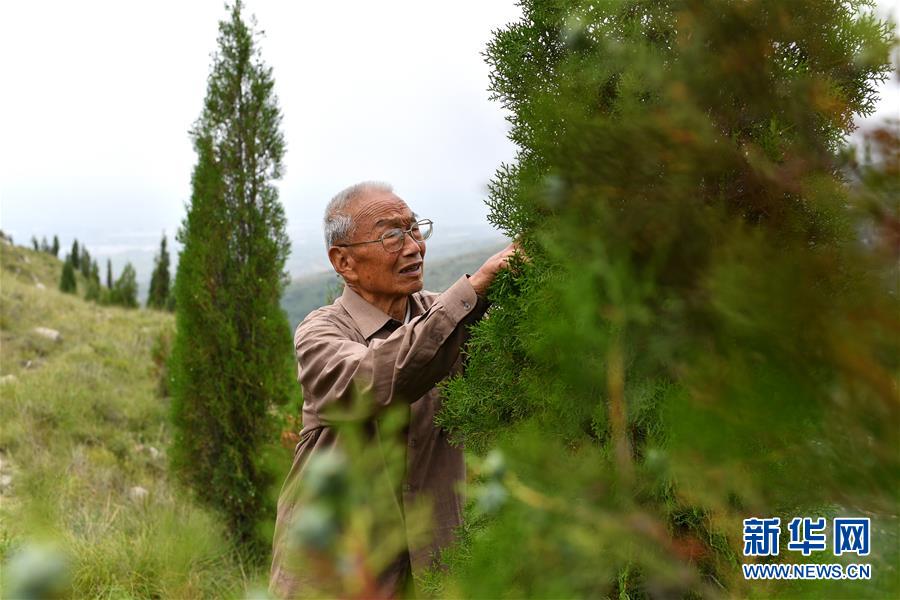 (在習(xí)近平新時(shí)代中國特色社會(huì)主義思想指引下——新時(shí)代新作為新篇章·圖文互動(dòng))(5)中條山下綠意濃——一個(gè)“資源窮縣”的生態(tài)發(fā)展之路
