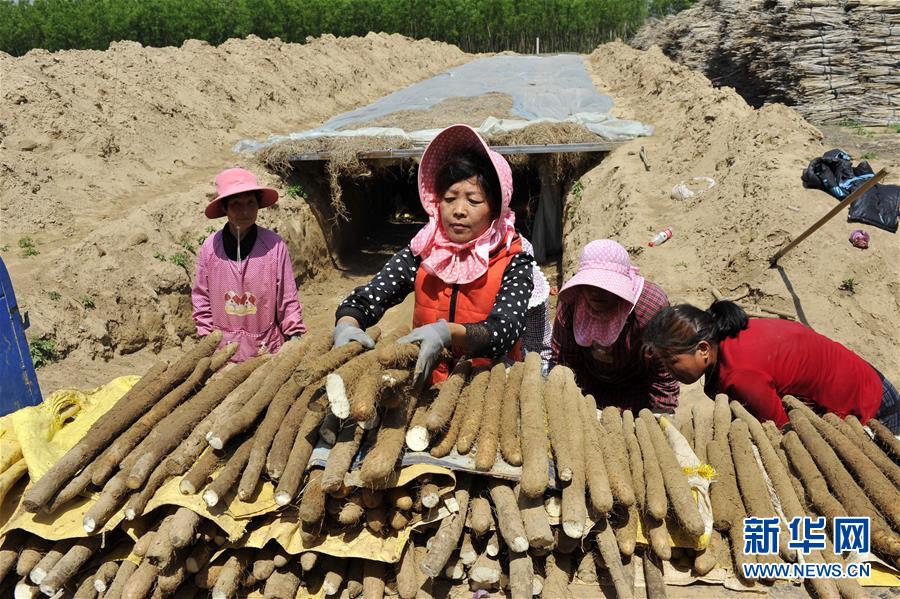 （在習(xí)近平新時(shí)代中國特色社會主義思想指引下——新時(shí)代新作為新篇章·圖文互動）（4）中條山下綠意濃——一個“資源窮縣”的生態(tài)發(fā)展之路