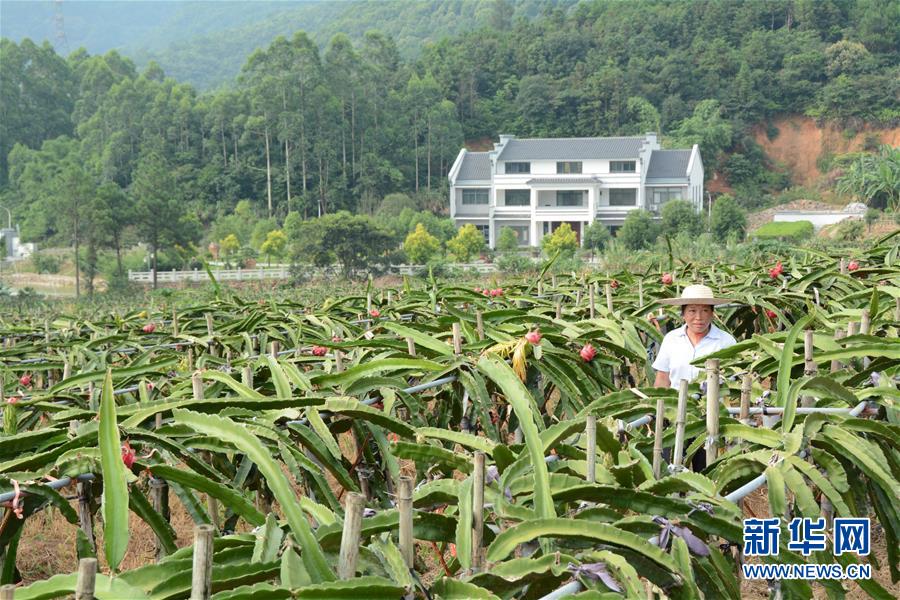 （在習(xí)近平新時(shí)代中國(guó)特色社會(huì)主義思想指引下——新時(shí)代新作為新篇章·總書(shū)記關(guān)心的百姓身邊事·圖文互動(dòng)）（6）大污染變身“大寶藏”：治理畜禽糞污，他們這樣干！
