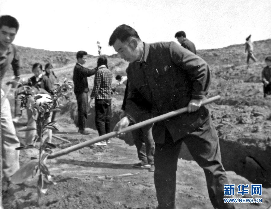 （紅土地“往事新說(shuō)”·圖文互動(dòng)）（1）昔日房前“一棵苗” 今朝引來(lái)橙滿(mǎn)枝