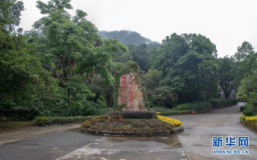 （圖文互動(dòng)）（1）科學(xué)接續(xù)保護(hù) 守住生態(tài)紅線——探訪“北回歸沙漠帶上的綠色明珠”