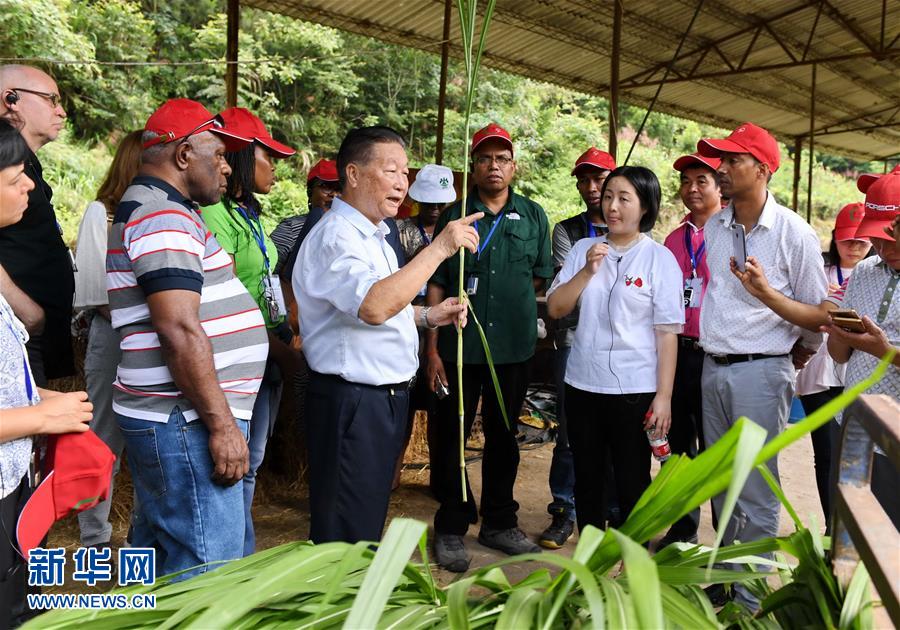 （不忘初心、牢記使命·圖文互動(dòng)）（5）拳拳寸草心 濃濃報(bào)國情——記“菌草之父”林占熺