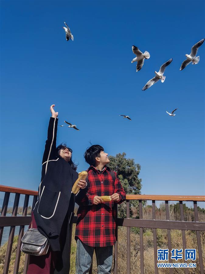 （一線抗疫群英譜·圖文互動(dòng)）（1）大學(xué)生志愿者譚藝西：在武漢，我和媽媽共戰(zhàn)“疫”