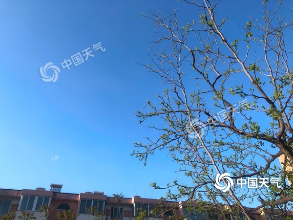 陣風(fēng)8級！北京遭遇雨后大降溫 北風(fēng)勁吹需添衣