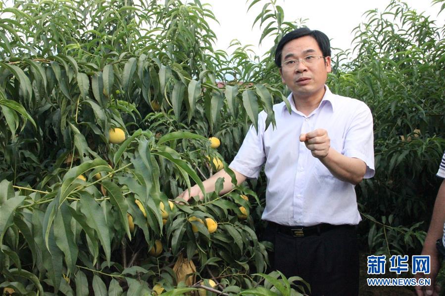 （圖文互動(dòng)）（2）“為脫貧而來，為脫貧而去”——追記湖南炎陵縣委原書記黃詩燕 