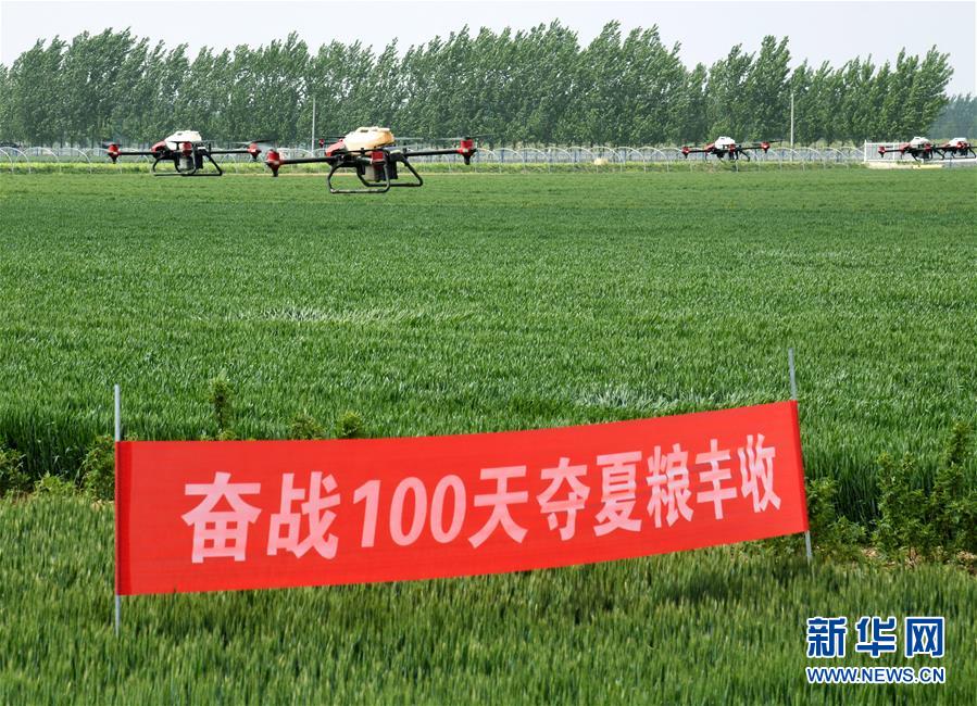 （在習(xí)近平新時代中國特色社會主義思想指引下——新時代新作為新篇章·習(xí)近平總書記關(guān)切事·圖文互動）（9）新農(nóng)事、新希望——夏收前田間新動態(tài)掃描