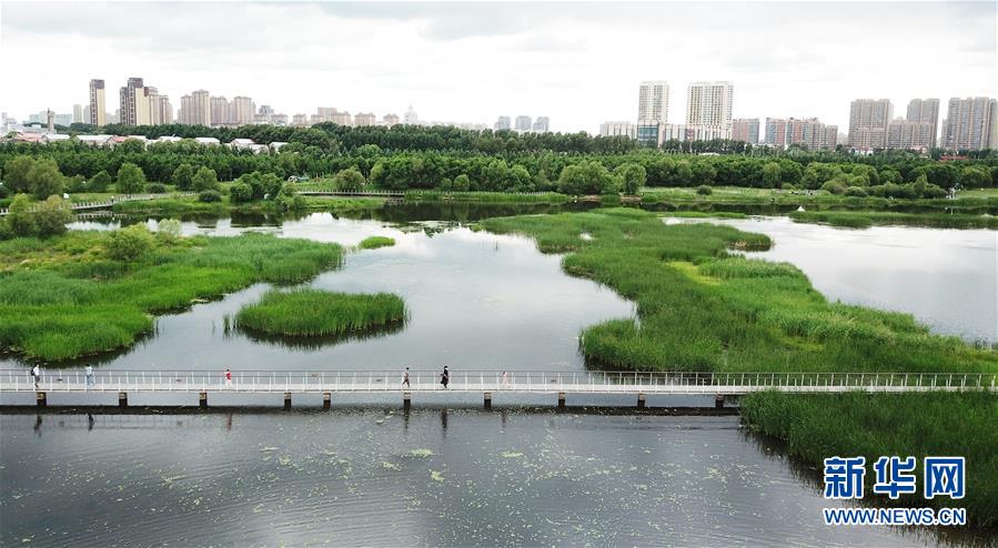 （走向我們的小康生活·圖文互動(dòng)）（1）水清、地綠、空氣新——最北省份黑龍江繪就生態(tài)治理新畫卷