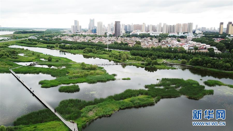 （走向我們的小康生活·圖文互動(dòng)）（2）水清、地綠、空氣新——最北省份黑龍江繪就生態(tài)治理新畫卷