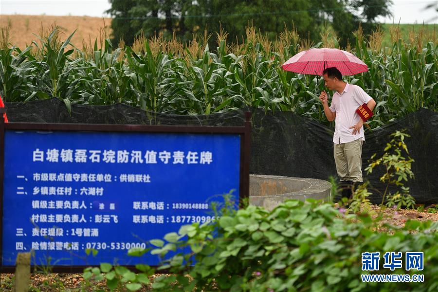 （防汛抗洪·圖文互動）（1）“險情不可怕，可怕的是不能及時發(fā)現(xiàn)險情”——洞庭湖巡堤查險現(xiàn)場直擊