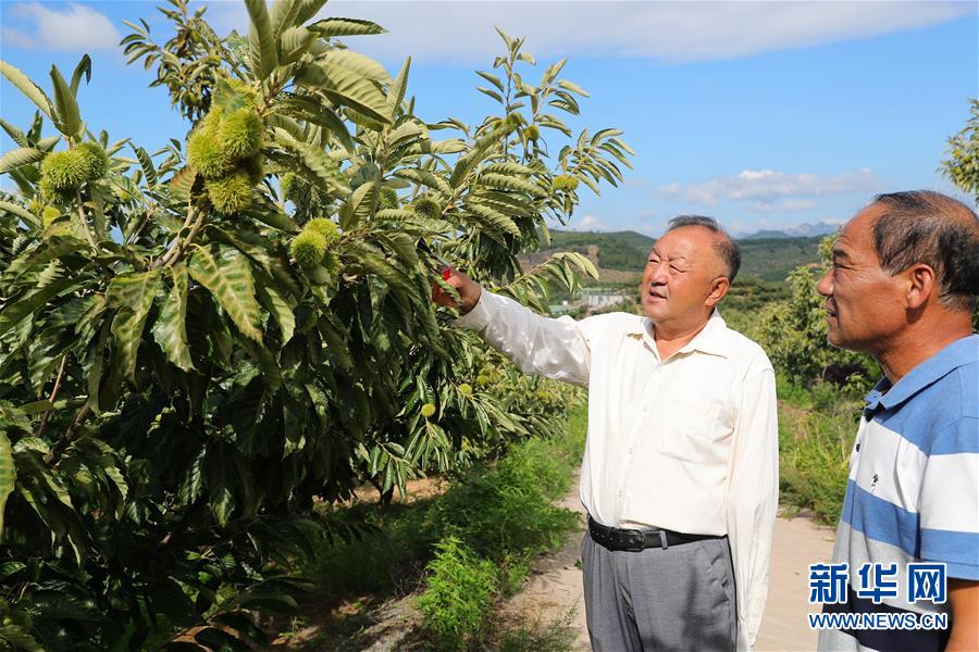 （新華全媒頭條·走向我們的小康生活·圖文互動）（11）長城腳下，小康村串成“珍珠鏈”