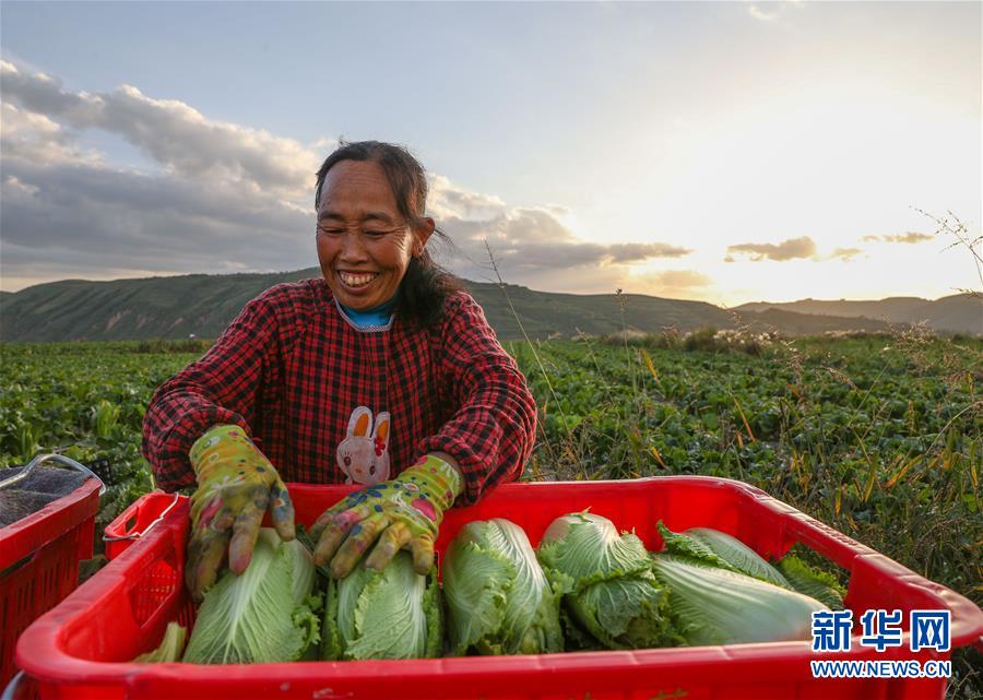 （新華全媒頭條·決戰(zhàn)決勝脫貧攻堅·督戰(zhàn)未摘帽貧困縣·圖文互動）（1）不獲全勝，決不收兵——全國52個掛牌督戰(zhàn)貧困縣脫貧攻堅紀(jì)實