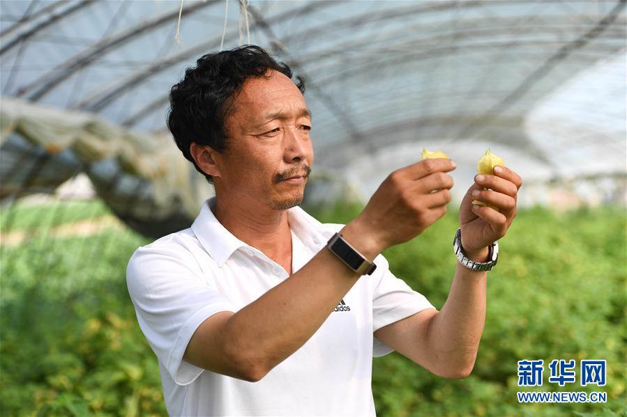 （新華全媒頭條·走向我們的小康生活·圖文互動）（7）黑土地上是我家——在吉林，一瞥中國東北鄉(xiāng)村美麗未來