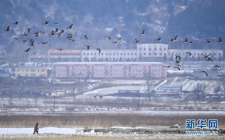 （新華全媒頭條·走向我們的小康生活·圖文互動）（14）黑土地上是我家——在吉林，一瞥中國東北鄉(xiāng)村美麗未來