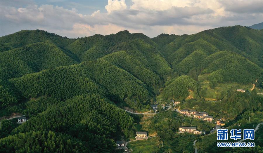 （新華全媒頭條·走向我們的小康生活·圖文互動）（2）神山村“神奇”何在？——井岡山深處覓答案