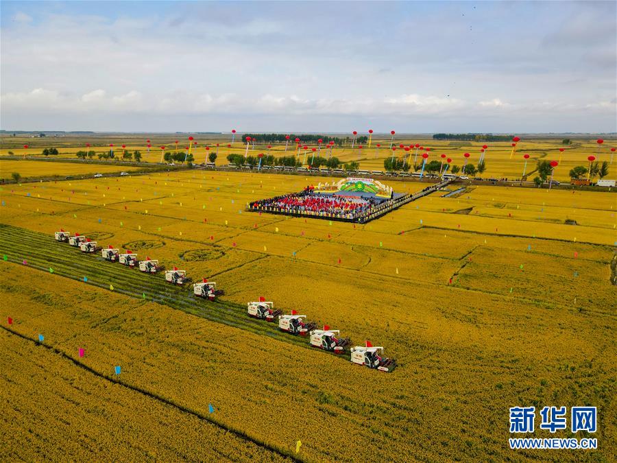 （新華全媒頭條·圖文互動(dòng)）（16）奮斗結(jié)碩果，再寫新篇章——寫在共和國71周年華誕之際