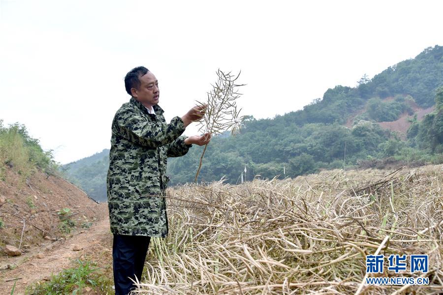 （代表委員履職·圖文互動(dòng)）（1）“我是農(nóng)民代表，始終關(guān)注農(nóng)村”——全國人大代表沈昌健的履職故事