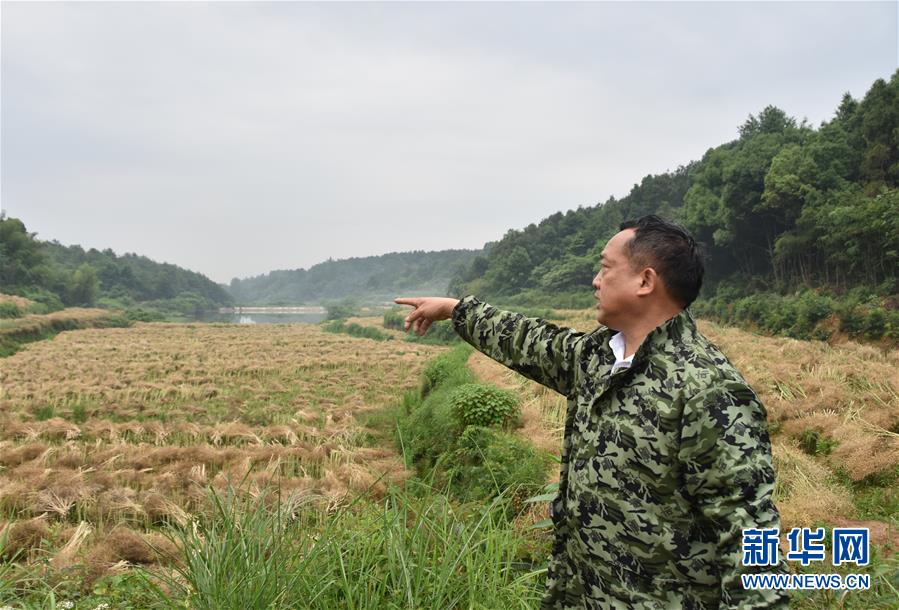 （代表委員履職·圖文互動(dòng)）（2）“我是農(nóng)民代表，始終關(guān)注農(nóng)村”——全國人大代表沈昌健的履職故事