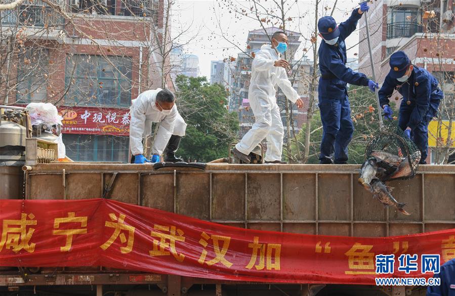 （新華全媒頭條·圖文互動）（12）從人民中汲取磅礴力量——習近平總書記同出席2020年全國兩會人大代表、政協(xié)委員共商國是紀實