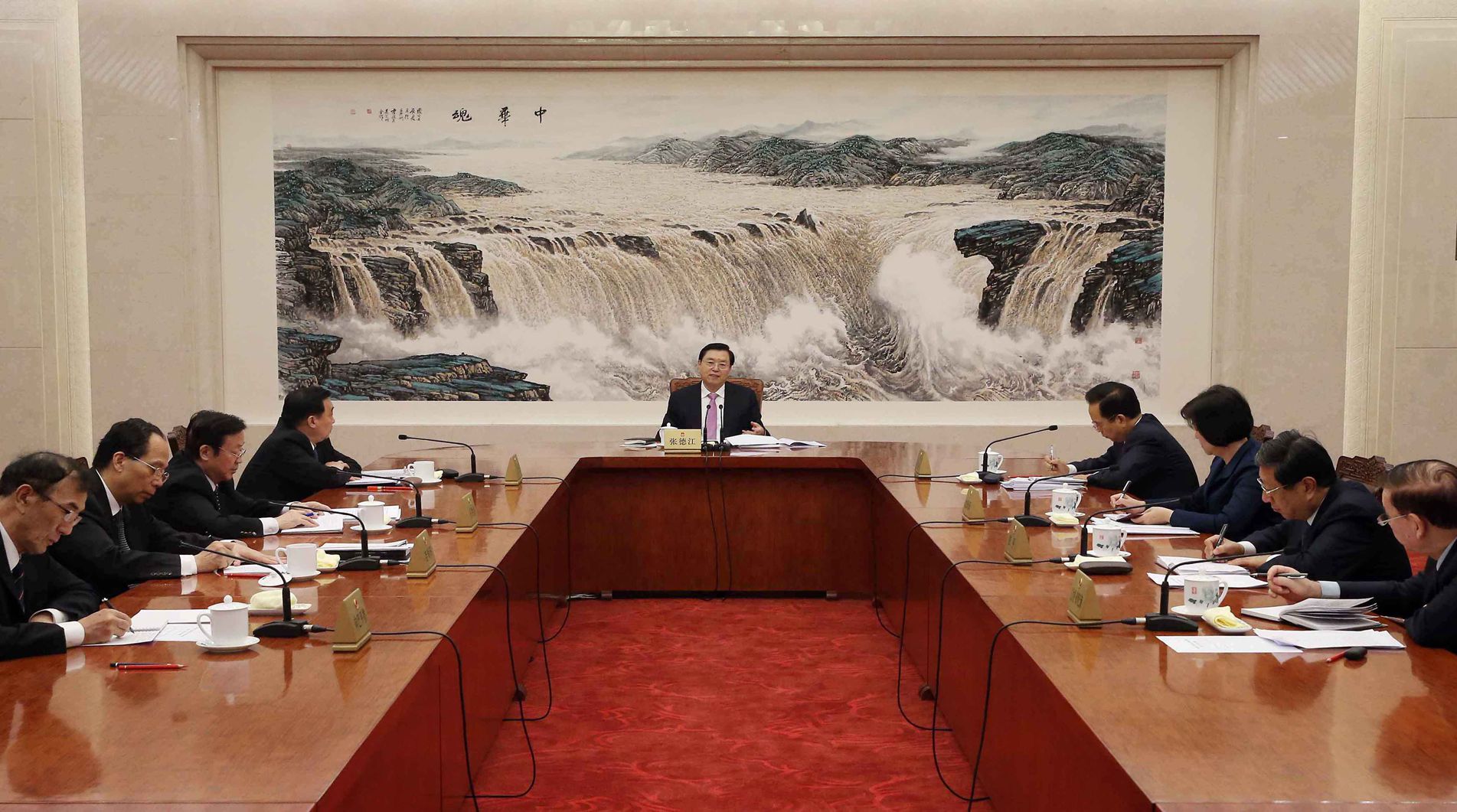 張德江主持召開(kāi)中共全國(guó)人大常委會(huì)黨組會(huì)議并講話(huà)