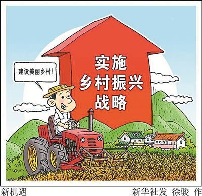 中央農辦主任告訴你鄉(xiāng)村咋振興