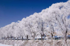 全國初雪時(shí)間表出爐 看看你離初雪還有多遠(yuǎn)？