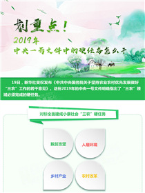 劃重點(diǎn)！2019年中央一號(hào)文件中的硬任務(wù)怎么干