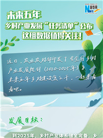 未來五年鄉(xiāng)村產(chǎn)業(yè)發(fā)展“任務(wù)清單”公布 這組數(shù)據(jù)值得關(guān)注！