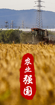 農(nóng)業(yè)強國是社會主義現(xiàn)代化強國的根基。