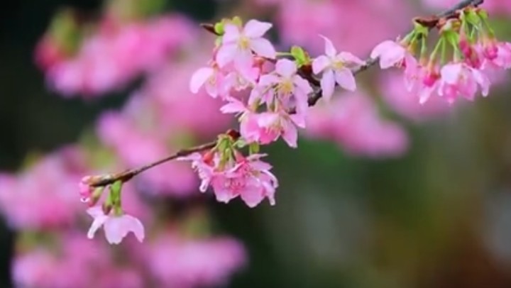 春分時節(jié)，關(guān)注身體健康
