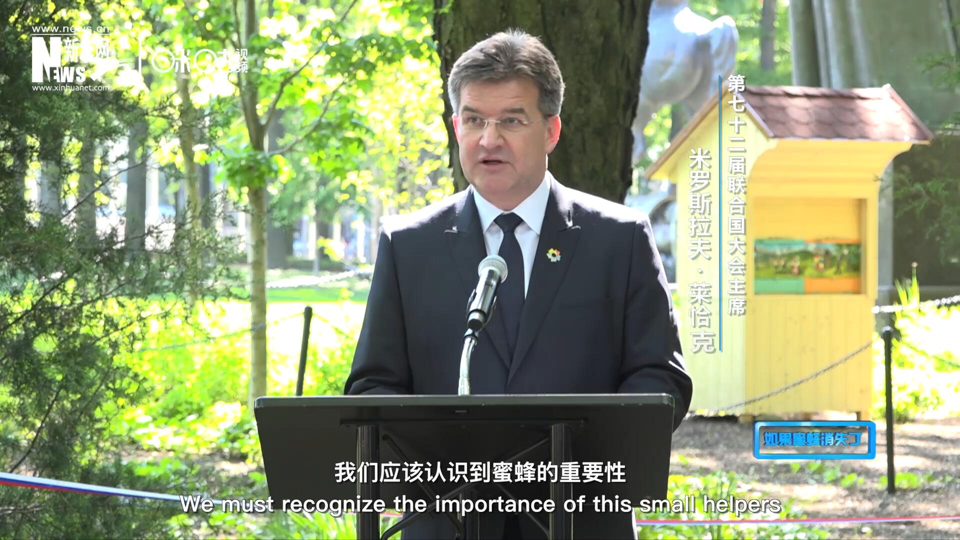 我們應(yīng)該認(rèn)識到蜜蜂的重要性，所以我們用“世界蜜蜂日”提高大家保護蜜蜂的意識，并且用實際行動去保護蜜蜂