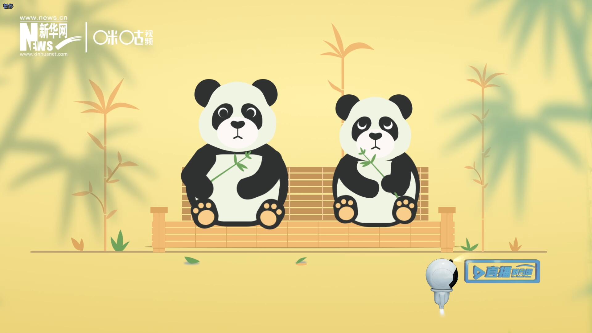 “哥哥你看，又有人來看我們了。”“有什么奇怪的，我們可是聯(lián)合國‘最萌’的大使??！”。