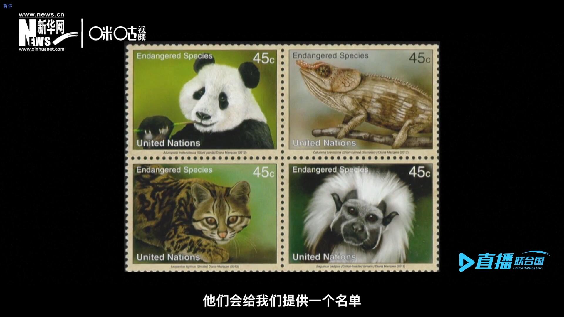CITES（瀕危野生動植物種國際貿易公約）會給聯(lián)合國郵政設計師提供一個名單，雙方共同合作在附錄中找到名單中應該受到關注的動物。