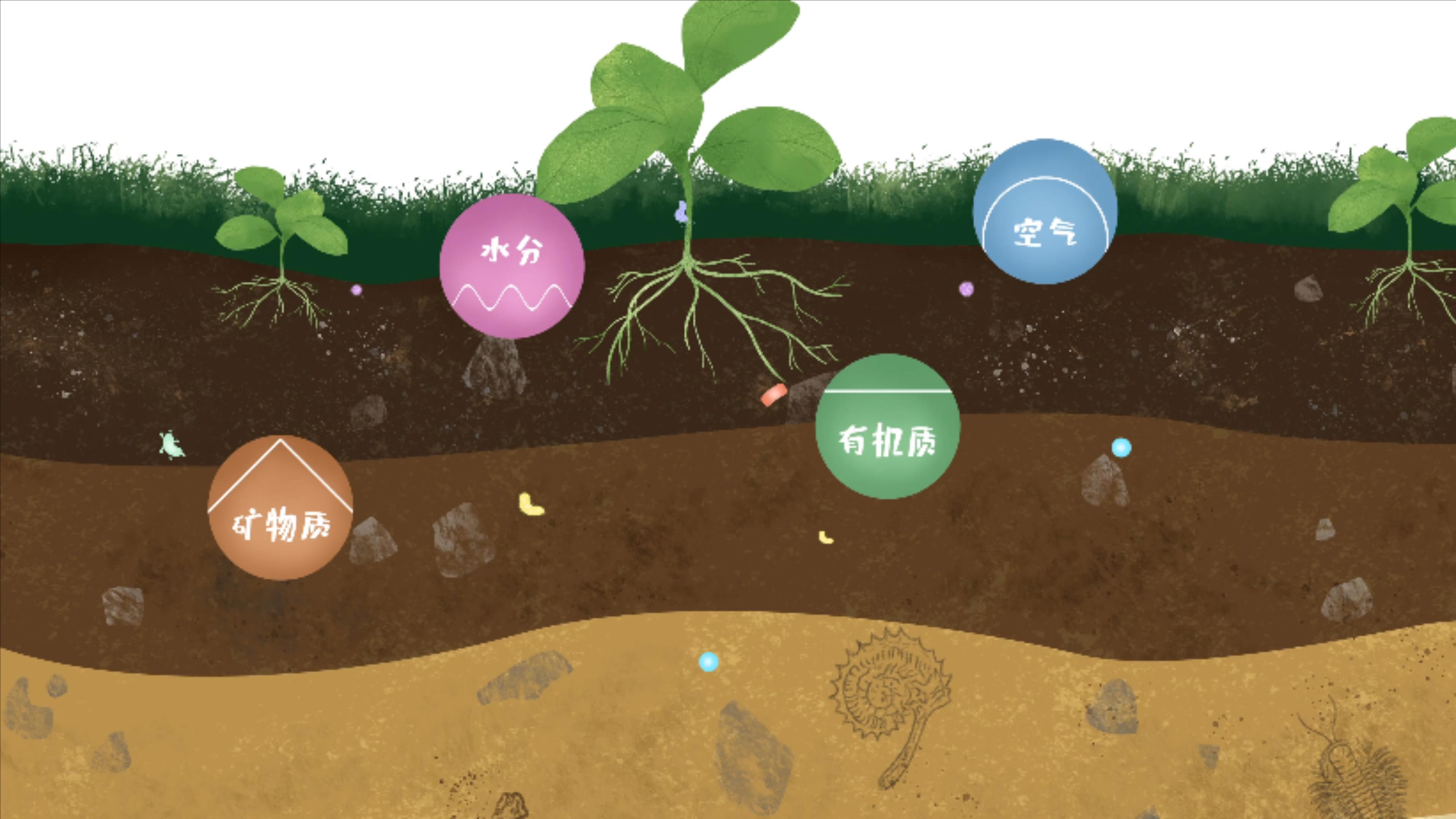 土壤由礦物質(zhì)、有機質(zhì)、水分、空氣及包括微生物在內(nèi)的生物體等組成